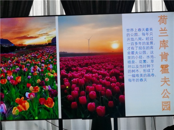 四(sì)川(chuān)中青(qīng)旅绵阳分社独家定制圆梦欧洲(zhōu)系列 - 大全景 9 国 16 天(tiān) 德国-法国-瑞士(shì)-意大利-奥地利-荷(hé)兰-比利时-列支敦士登-卢森堡